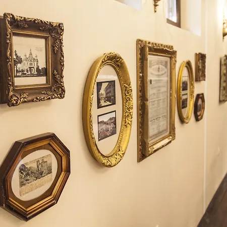 Evmolpia 3* 플로브디프