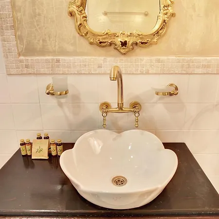 Evmolpia 3* 플로브디프