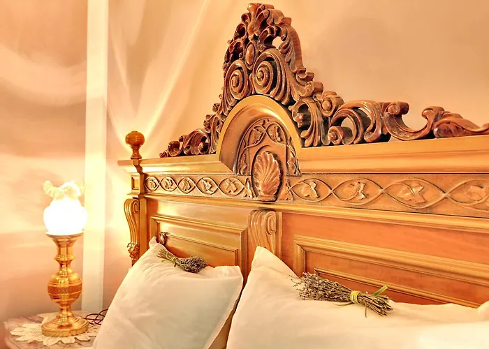 Evmolpia 3* プロヴディフ